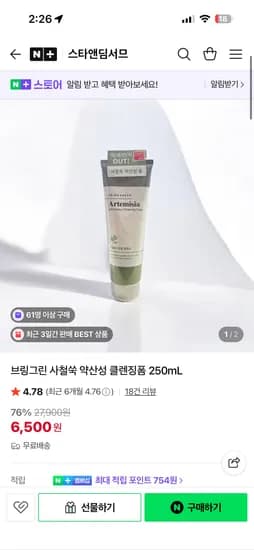브링그린 사철쑥 약산성 클렌징폼 250mL