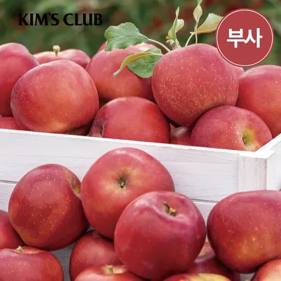 경북 영주 가정용 못난이 사과 부사 5kg