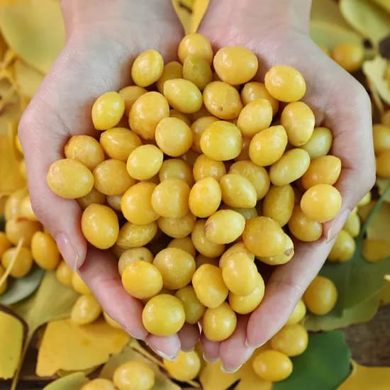 공주 햇 깐 은행 250g