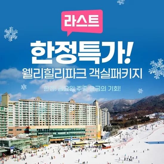 강원 웰리힐리파크 패밀리형 패키지 3매
