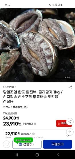 완도 활전복 골라담기 1kg