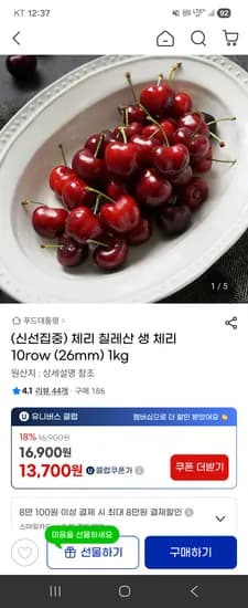 칠레산 생 체리 26mm 1kg