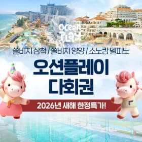 쏠비치 오션플레이 3개 지점 삼척 양양 델피노 5회권