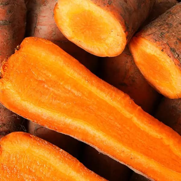 제주 구좌 햇 흙당근 5kg 왕