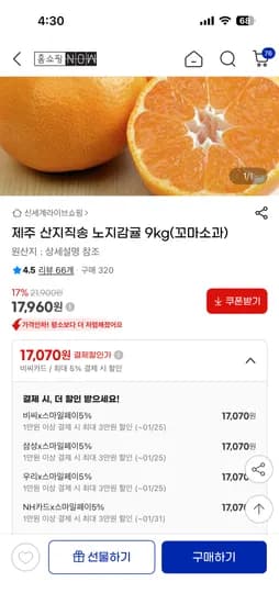 제주 노지감귤 9kg 꼬마소과