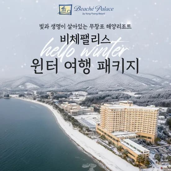 보령 비체팰리스 윈터 여행 패키지