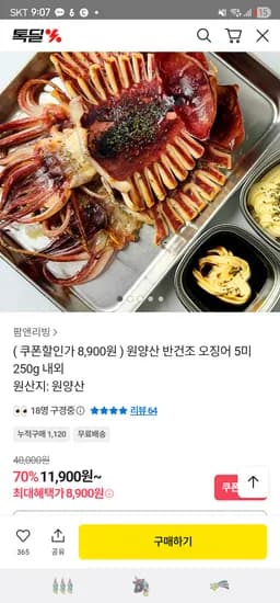 원양산 반건조오징어 5미 250g 내외