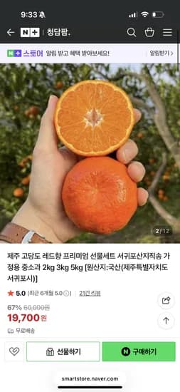 제주 레드향 중소과 2kg
