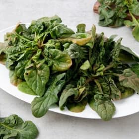 보물초 시금치 벌크포장 1kg