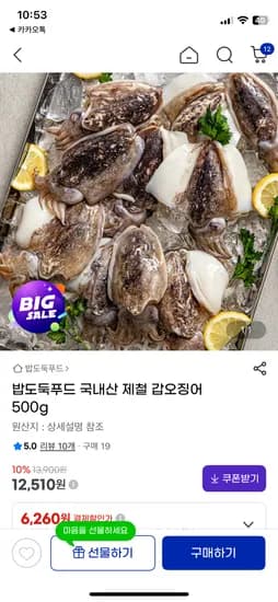 국내산 갑오징어 500g