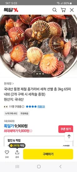 홍가리비 세척 선별 총 3kg 65미 내외
