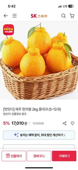 제주 한라봉 중대과 2kg