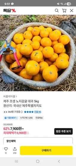 제주 감귤 대과 5kg