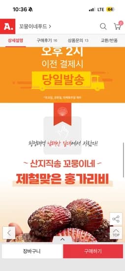 국내산 통영 홍가리비 5kg 1kg 당 20미 내외