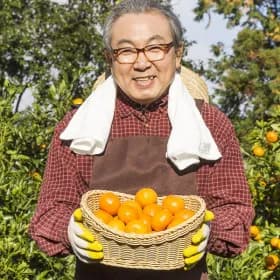 타이벡 저농약 제주산 조생감귤 4.5kg 2S-M