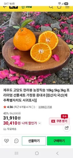 갓딴귤 제주산 못난이 한라봉 10kg