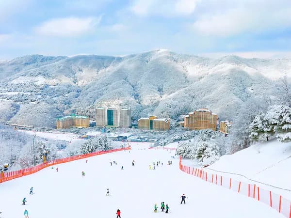 비발디파크 주중 리프트권 외 다양