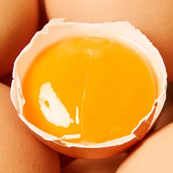 난간번호1번 20구