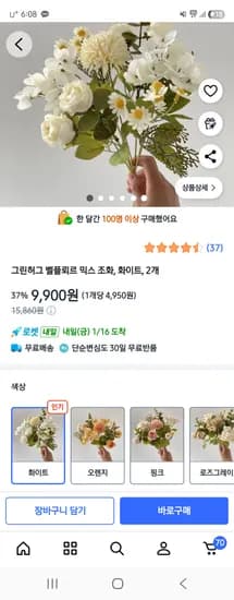 그린허그 벨플뢰르 믹스 조화, 화이트, 2개 9,900원 무배