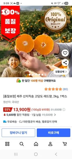제주 레드향 2kg