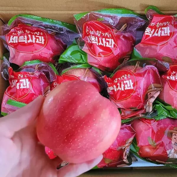 세척사과 3kg 소과 가정용 19-21과