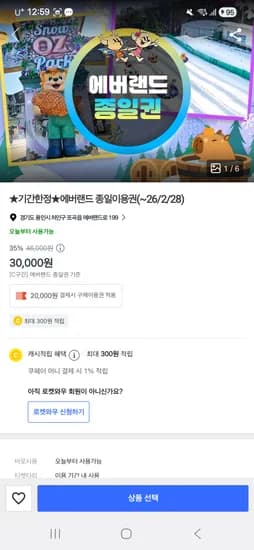 에버랜드 자유이용권 c시즌 10000원 B시즌 14000원