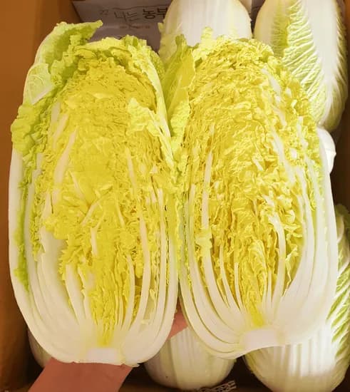 식탐 알배기배추 3포기