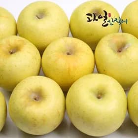 가정용 시나노골드 4kg 중대과 16-19과