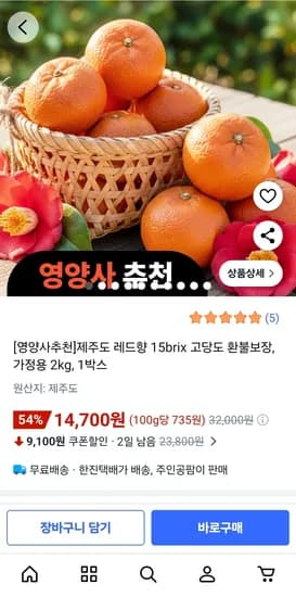 제주도 레드향 2kg