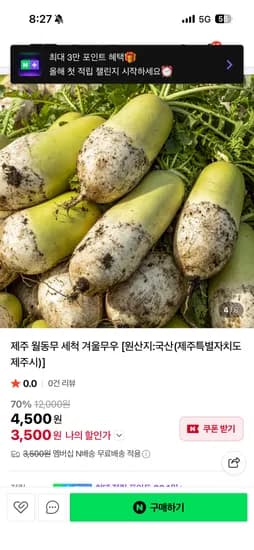 제주 월동무 3kg