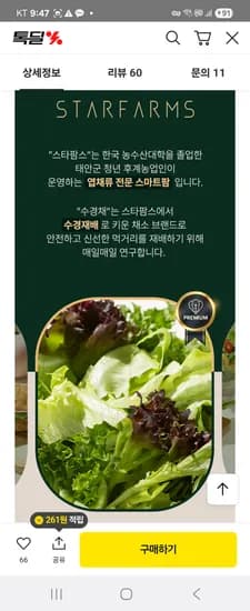 유러피안 샐러드 5종 이상