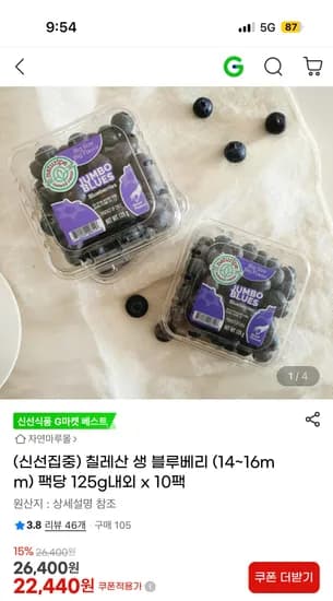 칠레산 생 블루베리 125g 10팩
