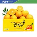 제주산 귤로장생 황금향 4kg 중소과