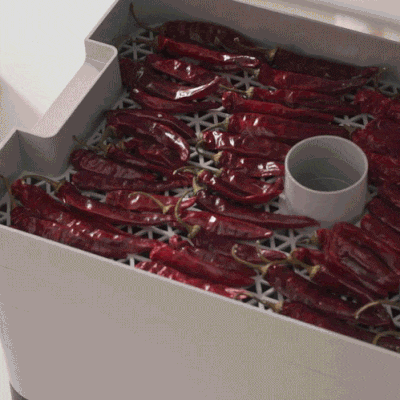 8단 식품건조기 고추 과일 야채