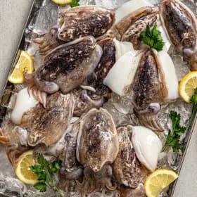 국내산 갑오징어 500g