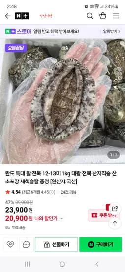 인정식탁 완도특대 활전복 12~13미