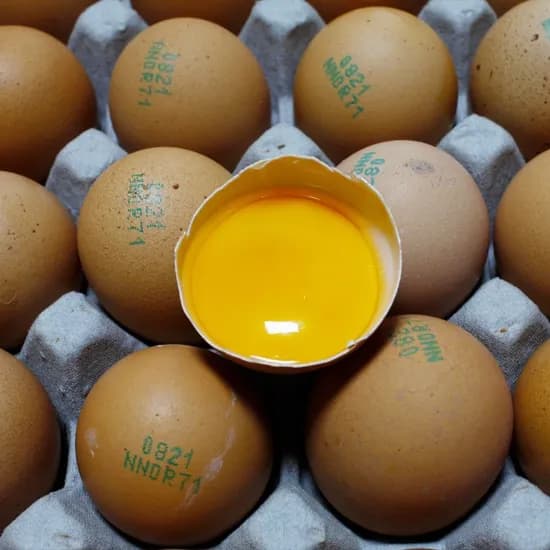 난각번호 1번 자영방목 무항생제 유정란 대란 40구