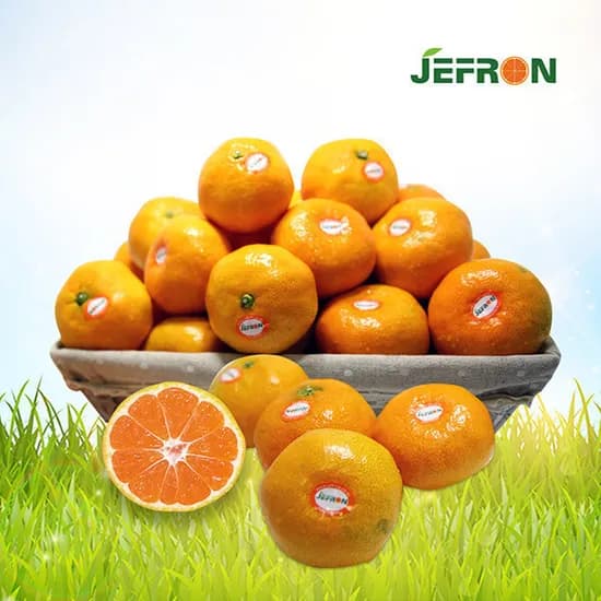 저농약재배 서귀포 산방산감귤 4.5kg 2S-M