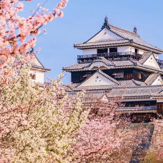 마쓰야마 자유여행 3일 4일