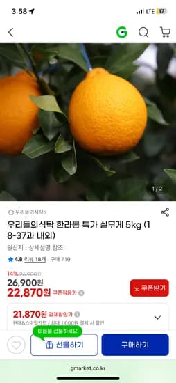 한라봉 5kg 18-37과 내외