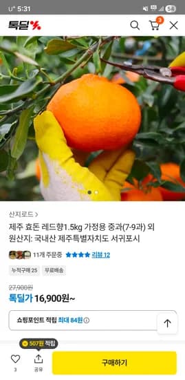 제주효돈 레드향 1.5kg 가정용 중과