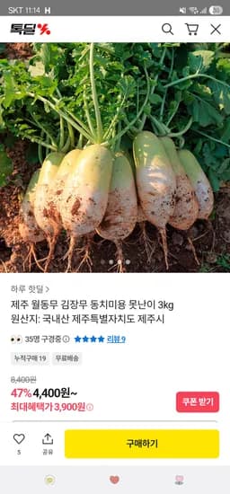 제주 월동무 김장무 동치미용 못난이 3kg