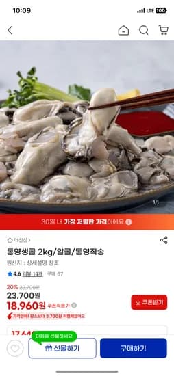 통영생굴 2kg