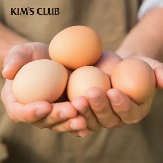 무항생제 신선대란 계란 30입 2판 총 60개입