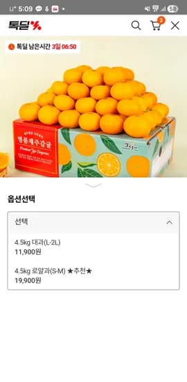 제주효돈 감귤 4.5kg 대과