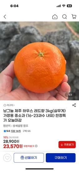제주 레드향 3kg 중소과