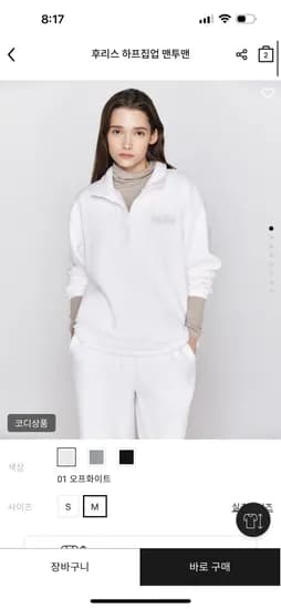 후리스 하프집업 맨투맨