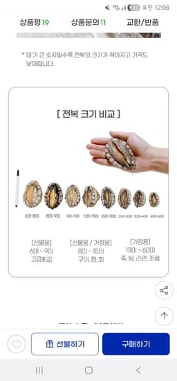 활전복 5-7미 1kg 특특대