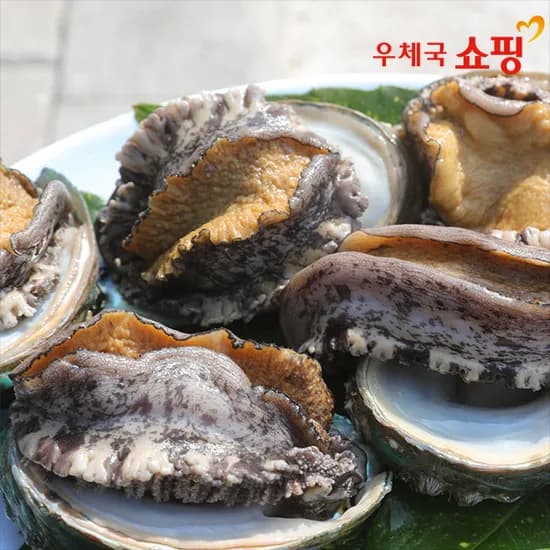 완도 특대 활전복 1kg 9~11미