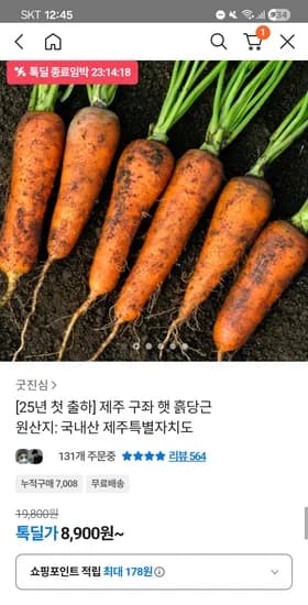 제주 구좌 햇 흙당근 중 5kg
